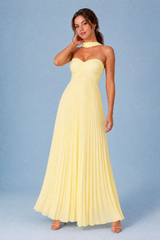 Pleated Backless Maxi Dress