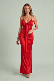 Draped V-Neck Maxi Dress